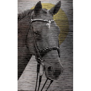 Muzammil Hussain, 24 x 39 Inch, Mixed Media on Paper, Horse Painting, AC-MZH-002